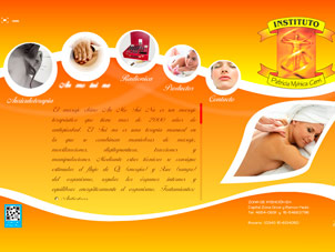 Diseño de Páginas Web Zona Oeste Mauca